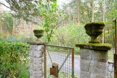 Białołęka Dworska - Urokliwa Mała Działka w Lesie - Warszawa  -
Mazowieckie Zdjęcie nr 7