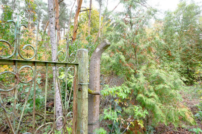 Białołęka Dworska - Urokliwa Mała Działka w Lesie - Warszawa  -
Mazowieckie Zdjęcie nr 8