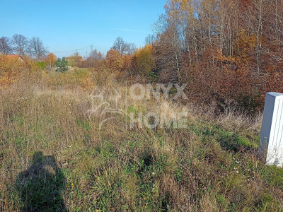 Pakiet 2 działek dobra cena Załęże gm Przodkowo - Załęże  -
Pomorskie Zdjęcie nr 3