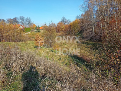 Pakiet 2 działek dobra cena Załęże gm Przodkowo - Załęże  -
Pomorskie Zdjęcie nr 4