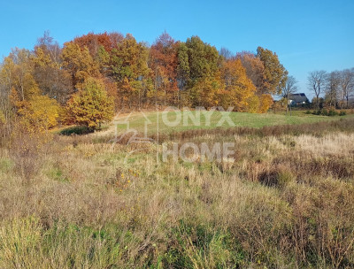 Załęże gm Przodkowo niska cena - Załęże  -
Pomorskie Zdjęcie nr 6