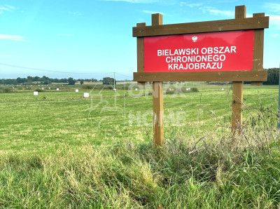 Sulicice Ameryka dz rolna 8 km do plaży Karwii - Ameryka  -
Pomorskie Zdjęcie nr 2