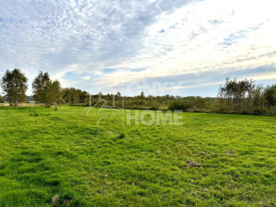 Sulicice Ameryka dz rolna 8 km do plaży Karwii - Ameryka  -
Pomorskie Zdjęcie nr 3