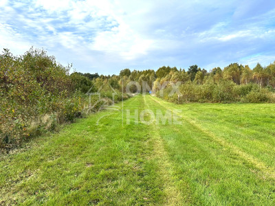 Sulicice Ameryka dz rolna 8 km do plaży Karwii - Ameryka  -
Pomorskie Zdjęcie nr 6