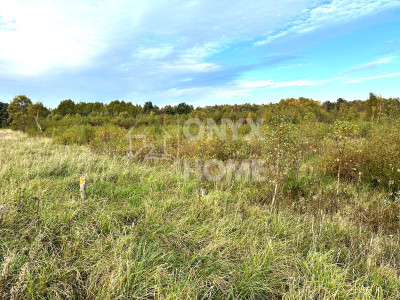 Sulicice Ameryka dz rolna 8 km do plaży Karwii - Ameryka  -
Pomorskie Zdjęcie nr 7