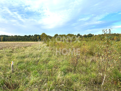 Sulicice Ameryka dz rolna 8 km do plaży Karwii - Ameryka  -
Pomorskie Zdjęcie nr 8