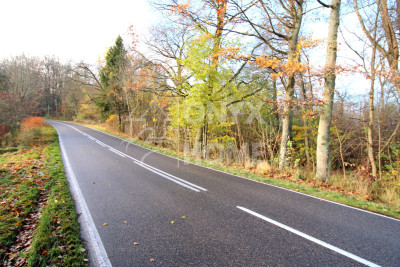 Duża działka pod zabudowę mieszkaniową MPZP - Mierzyno  -
Pomorskie Zdjęcie nr 12