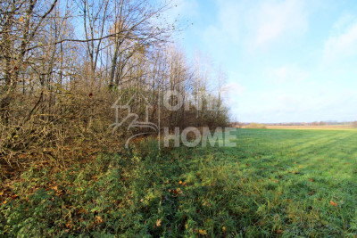 Duża działka pod zabudowę mieszkaniową MPZP - Mierzyno  -
Pomorskie Zdjęcie nr 10