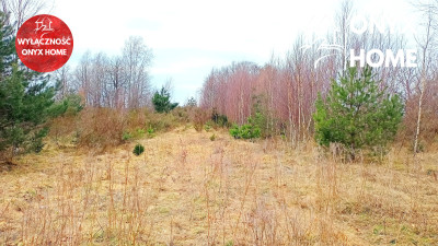 Tuchom działka budowlana blisko jeziora MPZP - Tuchom  - Pomorskie