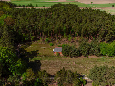 Oaza spokoju - działka 1700m2 mazowieckie - Śliski -
mazowieckie Zdjęcie nr 4