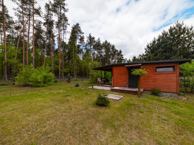 Oaza spokoju - działka 1700m2 mazowieckie - Śliski -
mazowieckie Zdjęcie nr 8