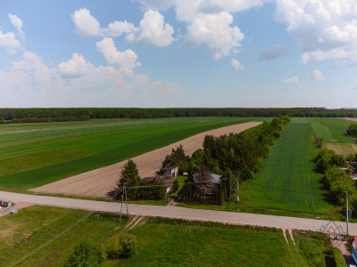Tuż obok lotniska Modlin 19ha-WZ-11 domów - Kosewo   - mazowieckie