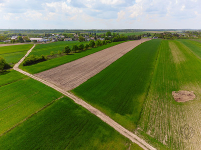 Tuż obok lotniska Modlin 19ha-WZ-11 domów - Kosewo   -
mazowieckie Zdjęcie nr 6