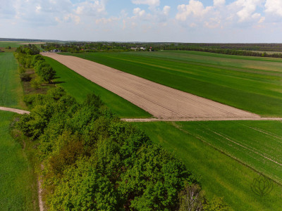 Tuż obok lotniska Modlin 19ha-WZ-11 domów - Kosewo   -
mazowieckie Zdjęcie nr 7