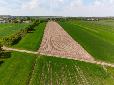 Tuż obok lotniska Modlin 19ha-WZ-11 domów - Kosewo   -
mazowieckie Zdjęcie nr 8