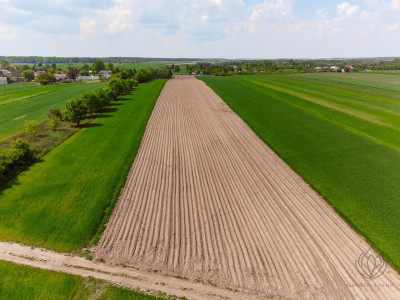Tuż obok lotniska Modlin 19ha-WZ-11 domów - Kosewo   -
mazowieckie Zdjęcie nr 9