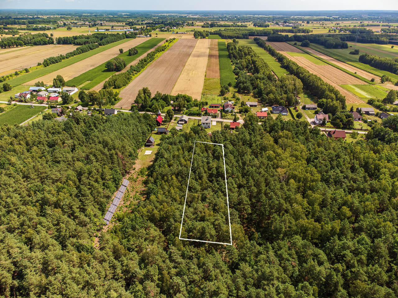Duża działka leśna Piaseczno gm Cegłów - Piaseczno   -
mazowieckie Zdjęcie nr 1