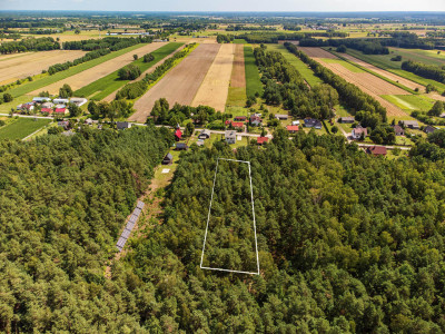 Duża działka leśna Piaseczno gm Cegłów - Piaseczno   -
mazowieckie