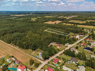 Duża działka leśna Piaseczno gm Cegłów - Piaseczno   -
mazowieckie Zdjęcie nr 8