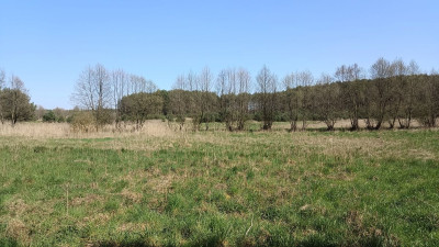 Na sprzedaż działka rekreacyjna - Silna -
lubuskie Zdjęcie nr 3