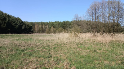 Na sprzedaż działka rekreacyjna - Silna -
lubuskie Zdjęcie nr 8