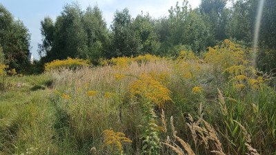 Na sprzedaż działka budowlana - Bytkowo -
wielkopolskie Zdjęcie nr 14