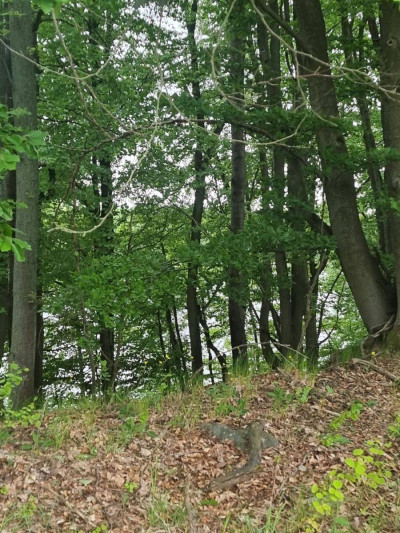 Na sprzedaż działka budowlana - Żelisławie -
zachodniopomorskie Zdjęcie nr 4