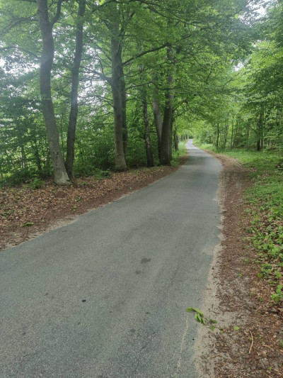 Na sprzedaż działka budowlana - Żelisławie -
zachodniopomorskie Zdjęcie nr 11