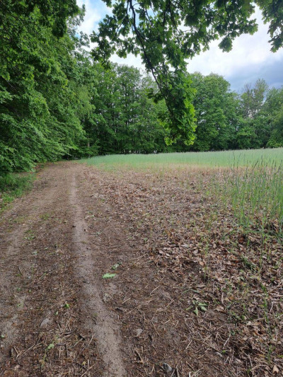 Na sprzedaż działka budowlana - Żelisławie -
zachodniopomorskie Zdjęcie nr 9