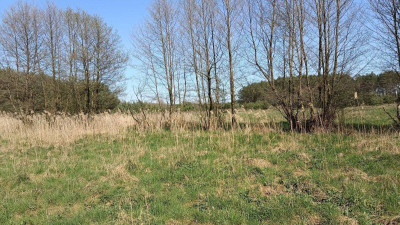 Na sprzedaż działka rekreacyjna - Silna -
lubuskie Zdjęcie nr 11