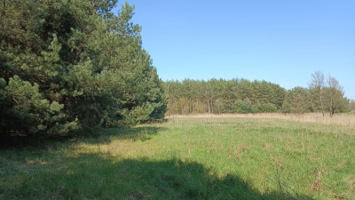 Na sprzedaż działka rekreacyjna - Silna -
lubuskie Zdjęcie nr 6