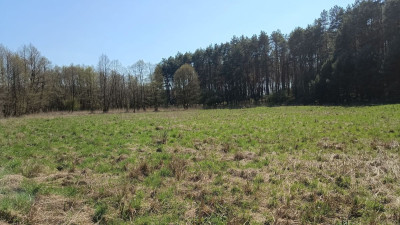 Na sprzedaż działka rekreacyjna - Silna -
lubuskie Zdjęcie nr 7