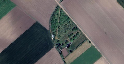 Na sprzedaż działka rolna - Dziećmierowo -
wielkopolskie Zdjęcie nr 7