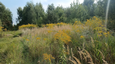 Na sprzedaż działka budowlana - Bytkowo -
wielkopolskie Zdjęcie nr 14