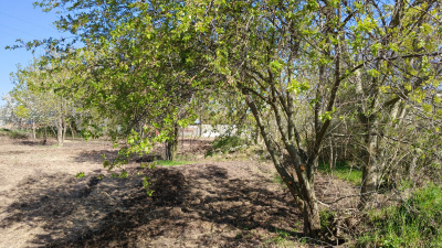 BYTYŃ - działki budowlane -
wielkopolskie Zdjęcie nr 18