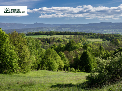 Pasiecznik- z nieograniczonym widokiem na góry - dolnośląskie