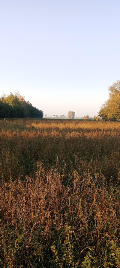 3 DZIAŁKI NA SPRZEDAŻ- BLISKO TORUNIA, W OKAZYJNEJ CENIE -
Kujawsko Pomorskie Zdjęcie nr 3