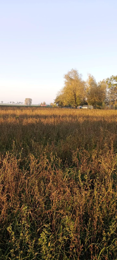 3 DZIAŁKI NA SPRZEDAŻ- BLISKO TORUNIA, W OKAZYJNEJ CENIE -
Kujawsko Pomorskie Zdjęcie nr 11