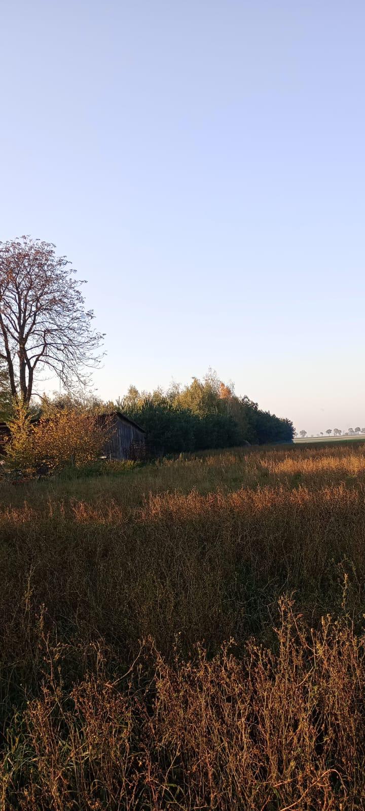 3 DZIAŁKI NA SPRZEDAŻ- BLISKO TORUNIA, W OKAZYJNEJ CENIE -
Kujawsko Pomorskie Zdjęcie nr 1