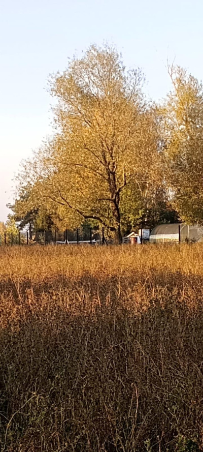 3 DZIAŁKI NA SPRZEDAŻ- BLISKO TORUNIA, W OKAZYJNEJ CENIE -
Kujawsko Pomorskie Zdjęcie nr 8