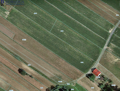 Działak przy ul Spacerowej - Ryczów   - małopolskie