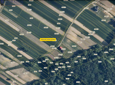 Działak przy ul Spacerowej - Ryczów   -
małopolskie Zdjęcie nr 3