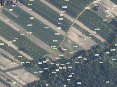 Działak przy ul Spacerowej - Ryczów   -
małopolskie Zdjęcie nr 4