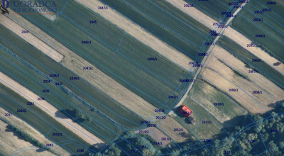 Działak przy ul Spacerowej - Ryczów   -
małopolskie Zdjęcie nr 5