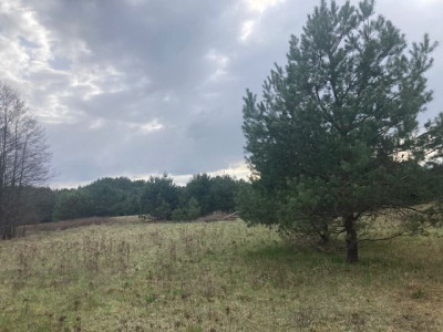 Na sprzedaż działka budowlana - Lubień -
wielkopolskie Zdjęcie nr 4