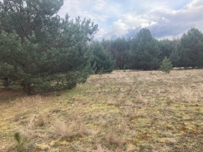 Na sprzedaż działka budowlana - Lubień -
wielkopolskie Zdjęcie nr 5