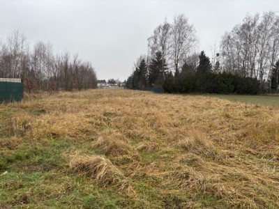 Na sprzedaż działka budowlana - Dąbrowa -
wielkopolskie Zdjęcie nr 5