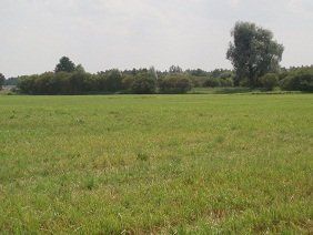 Na sprzedaż działka rolna - Brójce - lubuskie