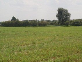 Na sprzedaż działka rolna - Brójce -
lubuskie Zdjęcie nr 6