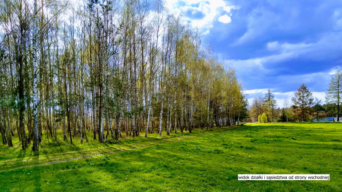 Śliczne 2.875 m2 w Tocznabieli k/ Pułtuska, woj. mazowieckie. 1 km od Narwi. -
Mazowieckie Zdjęcie nr 1